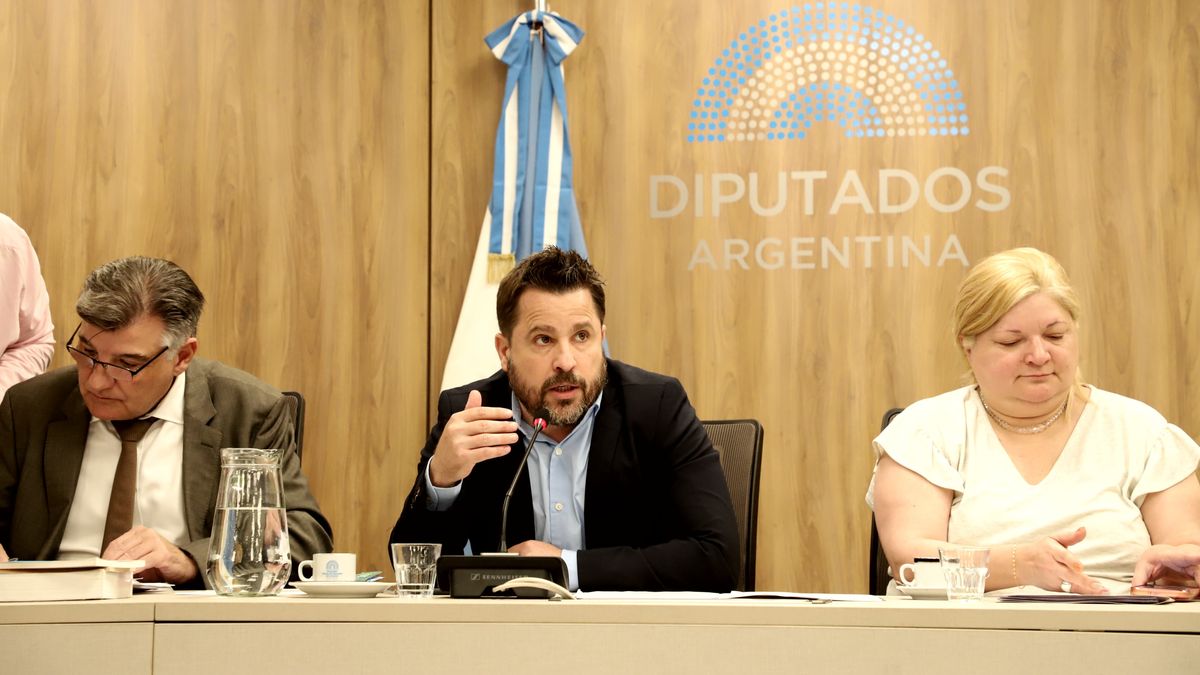 Deputies began debate on a new reform of work compensation