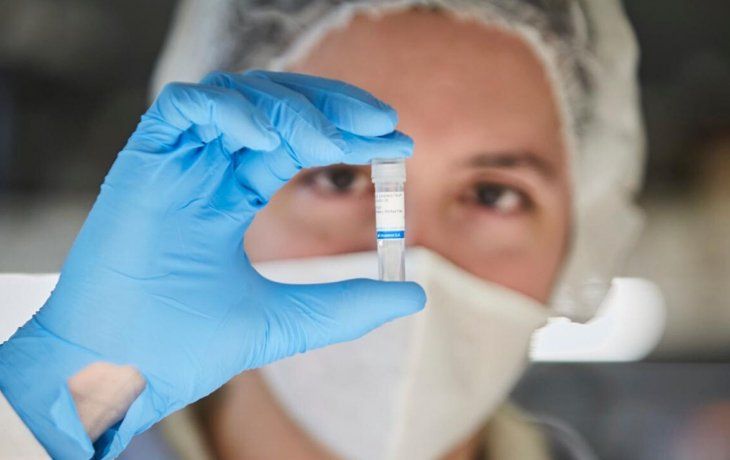El desarrollo del suero de caballo puede ayudar con el tratamiento de infectados de coronavirus.