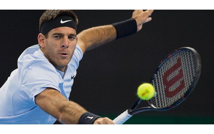 Juan Martín Del Potro.