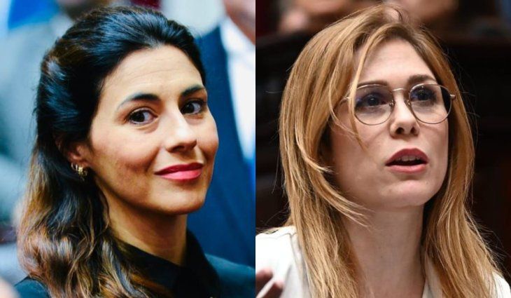 La denuncia lleva la firma de Lilia Lemoine, entre otros diputados.