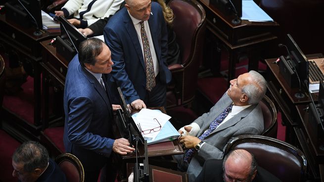El proyecto del salteño Romero para ampliar la Corte, el que más chances tiene de prosperar.