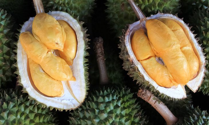 cascara de durian.jpg