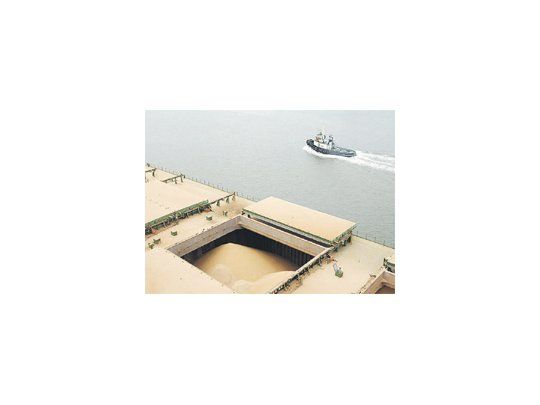 En junio las compras de soja de China habían sido de 6,4 millones de toneladas, lo que llevó pesimismo al mercado.
