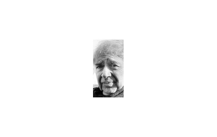 ámbito.com | Harold Bloom enfrenta ahora a Harry Potter