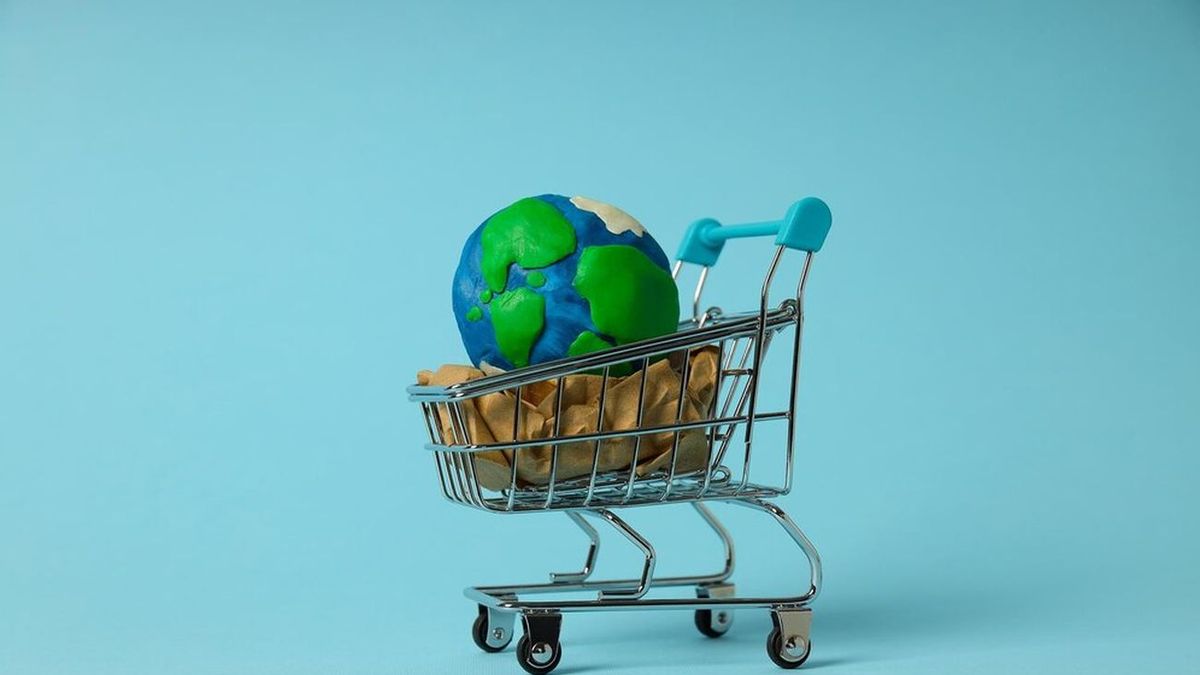 Sabes el impacto que generan tus compras online en el medioambiente?