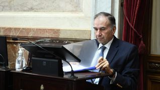 Humberto Schiavoni, tirular del bloque PRO en el Senado.&nbsp;