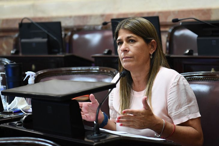 Tagliaferri se las ingenió para reactivar el debate por García-Mansilla. Tagliaferri se las ingenió para reactivar el debate por García-Mansilla.