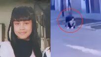 Son dos los detenidos por el crimen de la nena de 11 años.