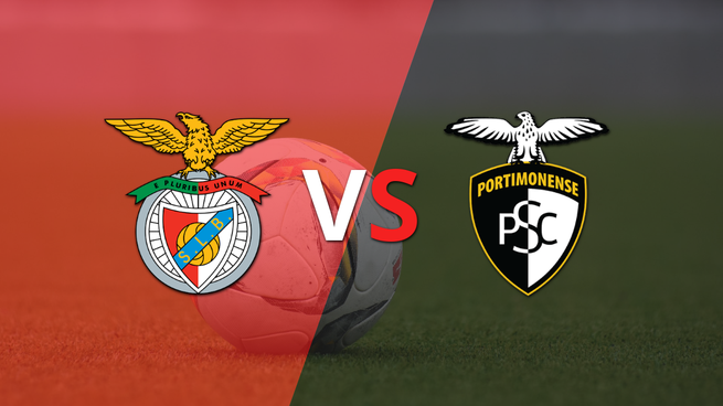 Portugal - Primera División: Benfica vs Portimonense Fecha 23