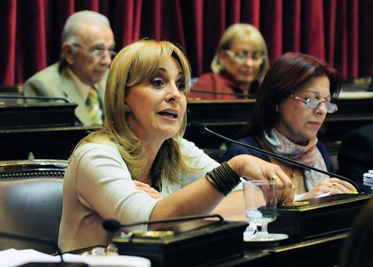 La senadora jujeña, Liliana Fellner