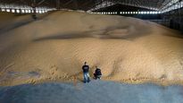 contrabando de soja: aduana detecto pasos no habilitados en misiones