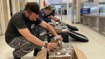 la aduana freno un pasajero que quiso traer 4.650 habanos en su equipaje