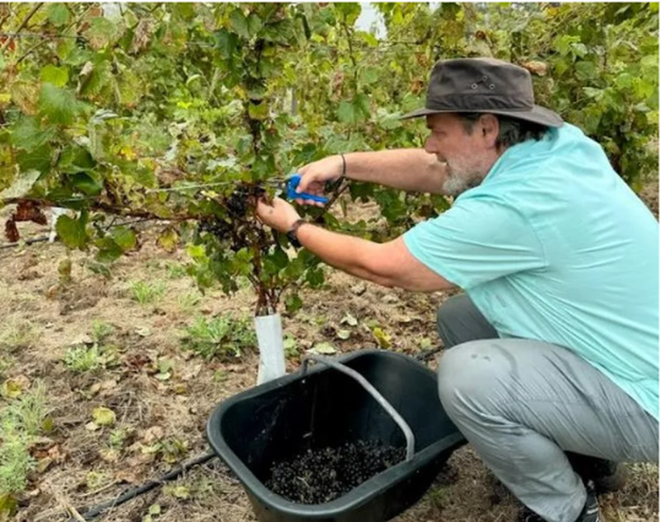 The history of Kikel, the family business that aims to make the first Trenque Lauquen wines