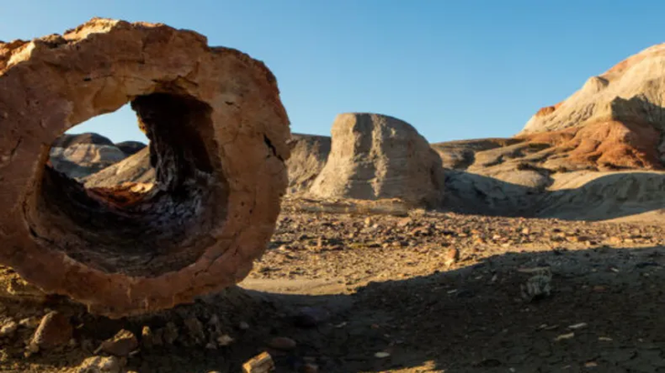 En Chubut, el Bosque Petrificado Sarmiento ofrece un turismo distinto, con paisajes prehistóricos y senderos que revelan secretos de la Patagonia.  