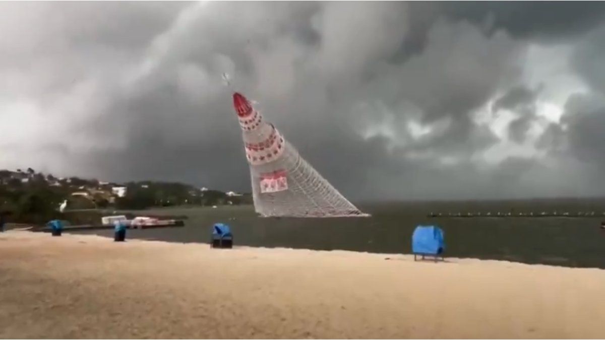 Horror in Brazil: a giant Christmas tree fell and killed a 21-year-old young man