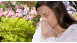 Allergies. 80% of patients with Allergic Rhinitis debut in childhood, and many of them also suffer from Bronchial Asthma. Allergies. 80% of patients with Allergic Rhinitis debut in childhood, and many of them also suffer from Bronchial Asthma.