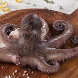 Pulpo, una estrella en la Semana Santa. Pulpo, una estrella en la Semana Santa.