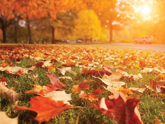 Otoño en Argentina.