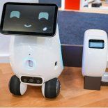 Aura, el robot inteligente para cuidar a las mascotas en casa. Aura, el robot inteligente para cuidar a las mascotas en casa.