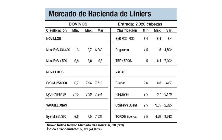 Bajas y animales de poca calidad