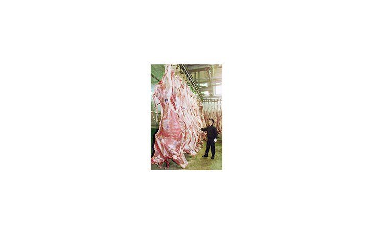 ámbito.com | El rebrote de fiebre aftosa provocó fuertes pérdidas a los frigoríficos dedicados a la exportación de carne