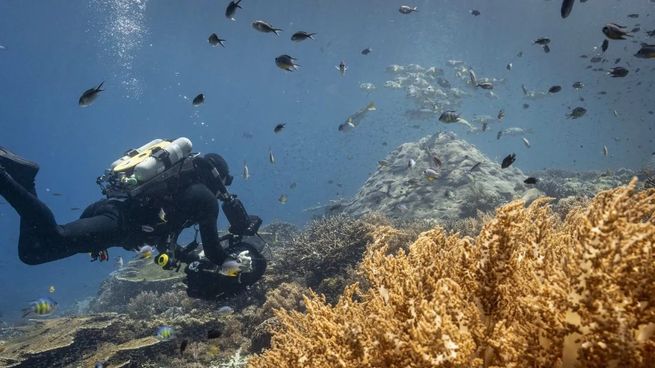 Una de las imágenes del fascinante documental Océanos.