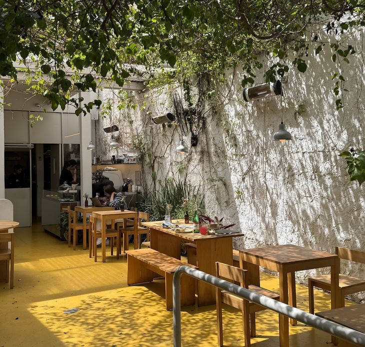 En Funga, la propuesta centrada en hongos responde a una estrategia definida desde su concepción.