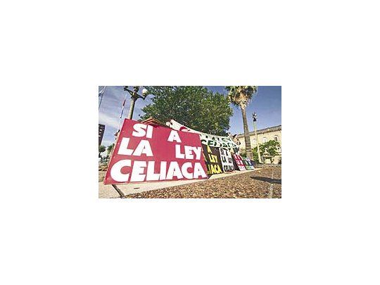 Banderas en apoyo a la Ley Celíaca (Fuente: http://www.ley-celiaca.com.ar/)