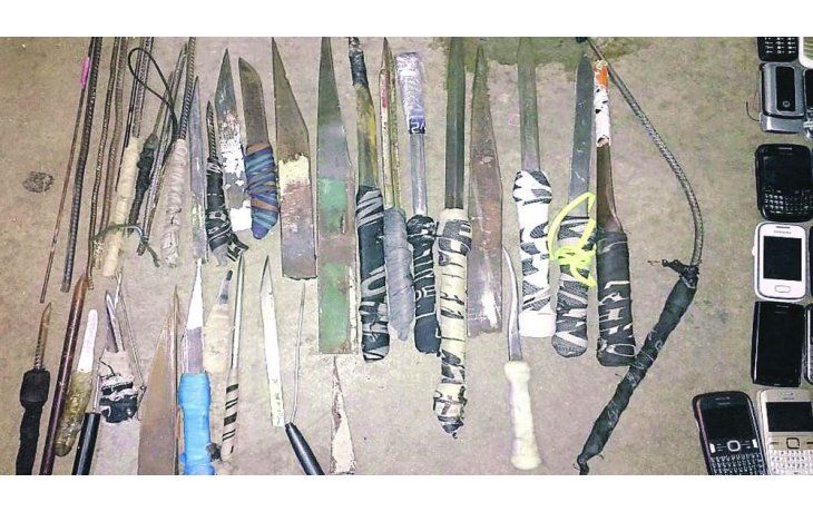 lO INCAUTADO. Lo más sorpresivo fue la cantidad de macetas con plantas de marihuana y elementos cortantes.