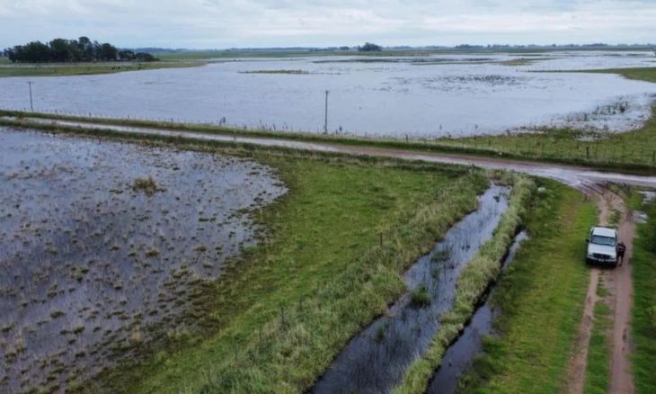 Los daños por granizo y anegamientos llevaron al Gobierno a declarar la emergencia agropecuaria en San Juan y Buenos Aires. Los daños por granizo y anegamientos llevaron al Gobierno a declarar la emergencia agropecuaria en San Juan y Buenos Aires.