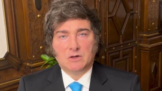 El mensaje de fin de año de Javier Milei: habló de "promesas cumplidas" y aseguró que Argentina "está empezando a crecer"