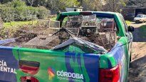 Se comprobó así la infracción a la Ley Nacional 22.421 de Conservación de la Fauna.