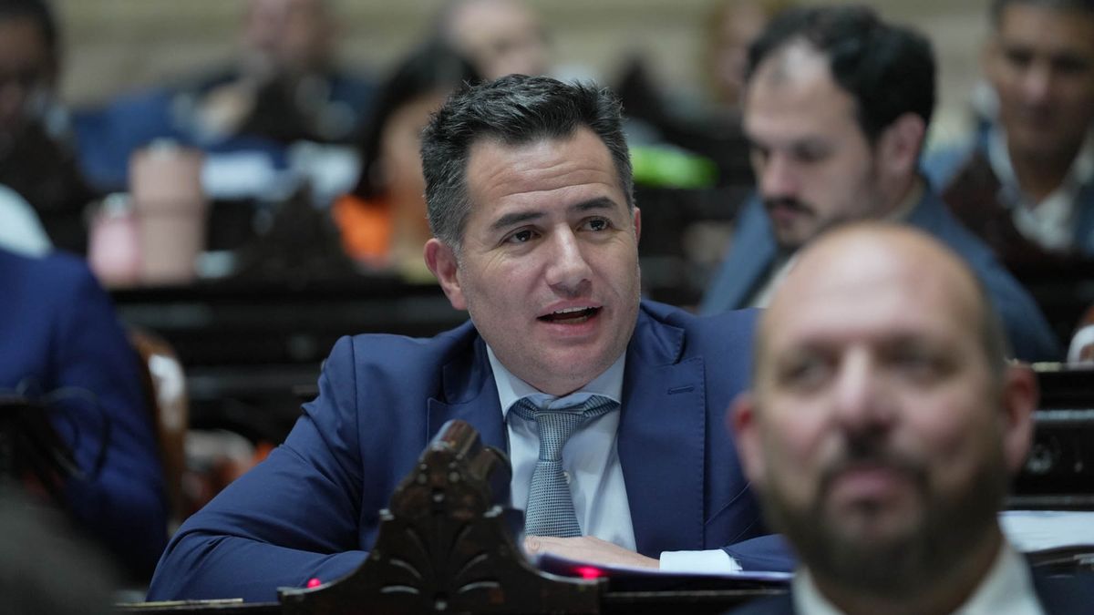 Deputies: After the request for freedom, advance this Thursday will be discussed in the enclosure the suspension of the passage