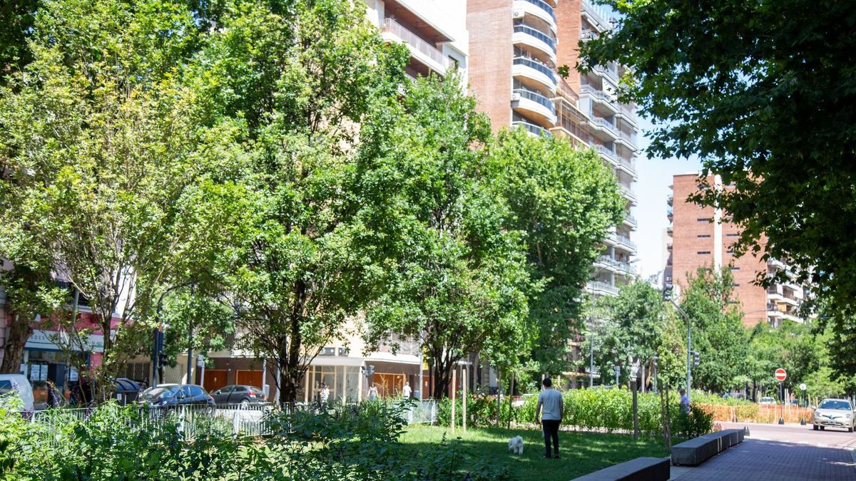 The City completed the Honorio Pueyrredón Linear Park work