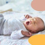 Los cromosomas X son la clave en la transmisión de la inteligencia. Los cromosomas X son la clave en la transmisión de la inteligencia.