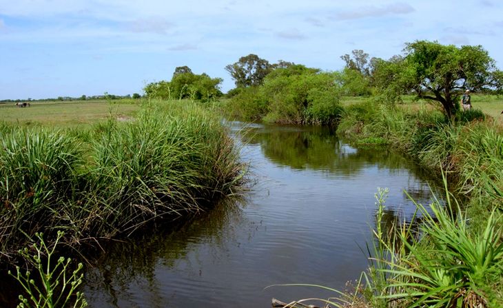 Creada en 1990 con el fin de conservar un remanente de pastizal, talar y una superficie representativa de humedal. Creada en 1990 con el fin de conservar un remanente de pastizal, talar y una superficie representativa de humedal.