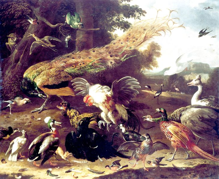 Ya en el siglo VI AC Esopo apuntaba al problema de la “imitación” en su fábula sobre la corneja -que se creía capa de la villa- y las plumas robadas (cuadro de Melchior d´Hondecoeter,1636/95). Hoy “las Cornejas” son algo mas sofisticadas. Ya en el siglo VI AC Esopo apuntaba al problema de la “imitación” en su fábula sobre la corneja -que se creía capa de la villa- y las plumas robadas (cuadro de Melchior d´Hondecoeter,1636/95). Hoy “las Cornejas” son algo mas sofisticadas.