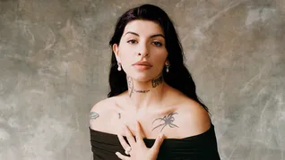 La propuesta fue impulsada por la diputada Sandra Arreola Ruiz en el Congreso de Michoacán con intención de escalar a nivel nacional. La propuesta fue impulsada por la diputada Sandra Arreola Ruiz en el Congreso de Michoacán con intención de escalar a nivel nacional.