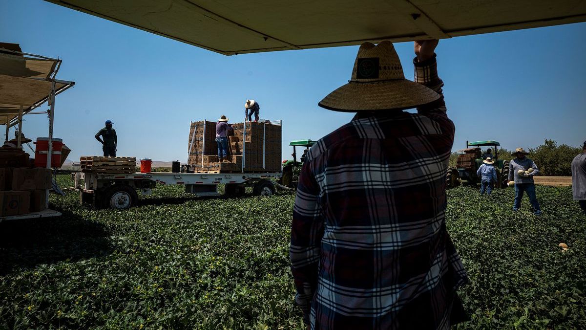 Extreme heat in America threatens workers and the economy