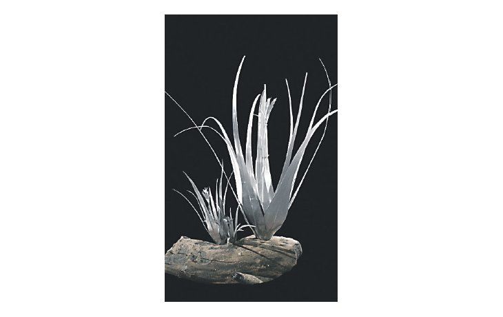 ámbito.com | Uno de los caraguatás de “Guardianas del Monte”, intervención  de Beatriz Moreira.que se exhibe en el Espacio de Arte de Fundación Osde.