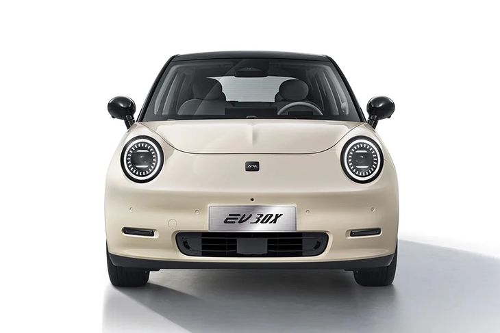 Entre sus ventajas, aprovecha el cupo oficial que permite ingresar veh&iacute;culos el&eacute;ctricos sin aranceles, pagando 0% en vez del 35% habitual. A eso se suma que en varios distritos no tributa patente, lo que reduce a&uacute;n m&aacute;s los costos de uso.