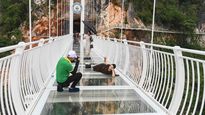 vietnam inauguro el puente de cristal mas largo del mundo