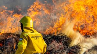 Instan a consultar el índice diario de riesgo de incendios, y atender a los consejos y recomendaciones de brigadistas y guardaparques.
