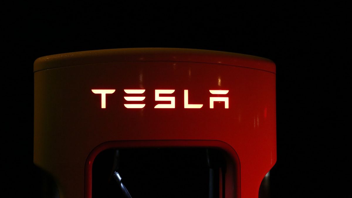 Tesla shares plunged after Twitter users voted for Elon Musk to sell stake
