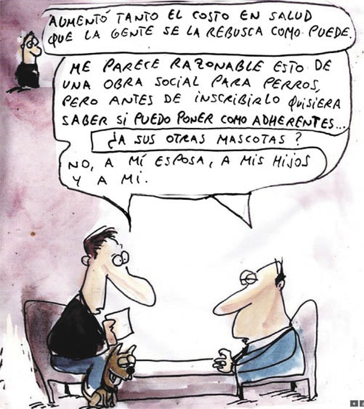 chiste_opt.jpeg