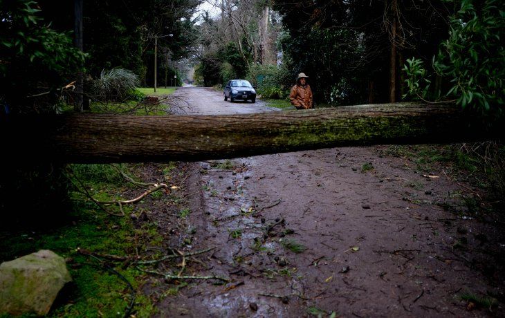 La Plata: alerta amarillo por vientos con fuertes ráfagas