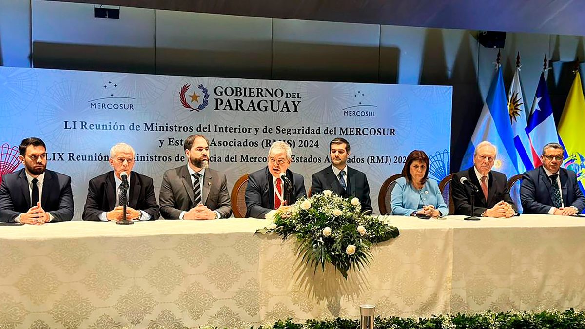 The government will focus on the possible arrival of fentanyl during the Mercosur presidency