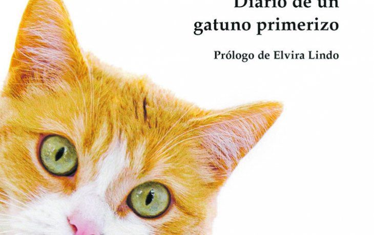 ámbito.com | espec Libro.jpg