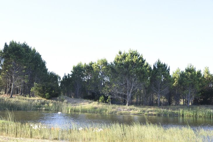 Ya se inició la preventa de lotes en tres sectores más amplios para la construcción de casas: Santa Bárbara, Santa Mónica y San Diego.