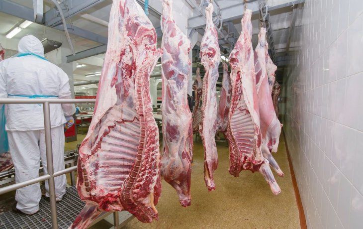 preocupa la perdida de competitividad en la exportacion de carne
